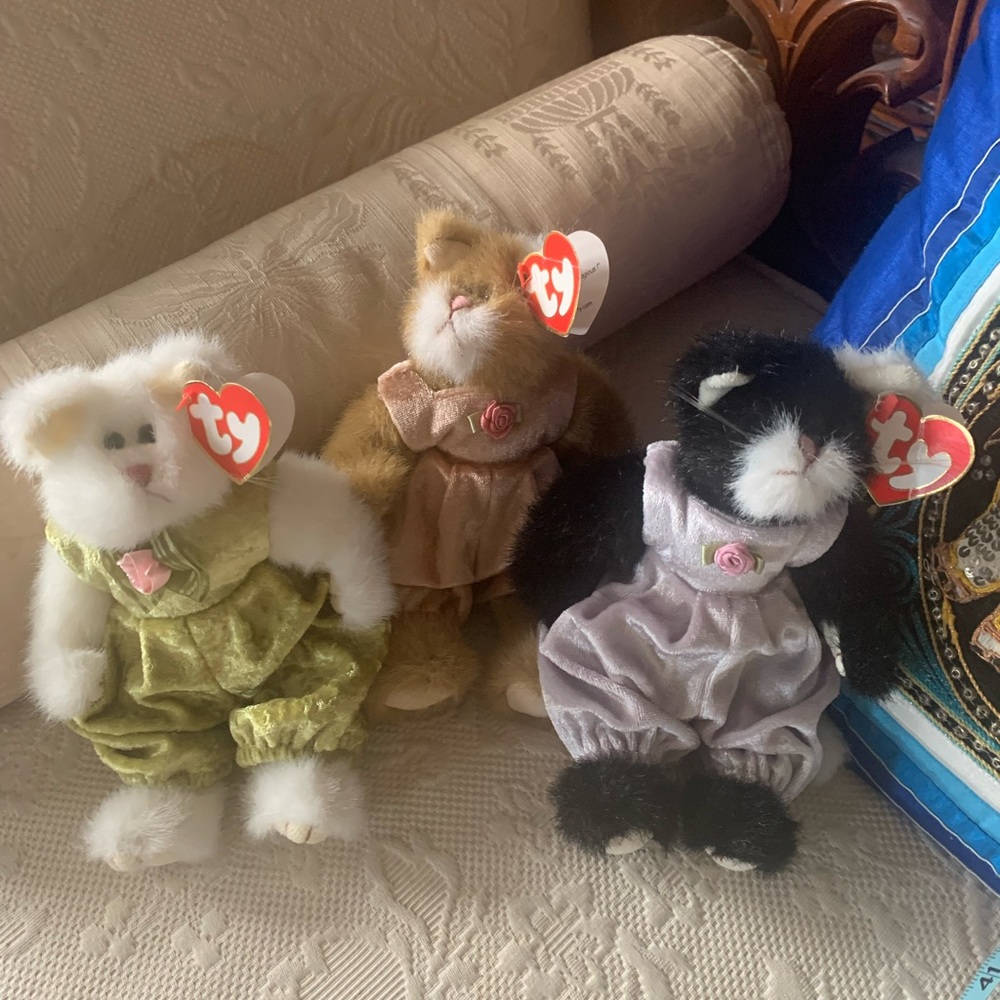 Ty beanie cats